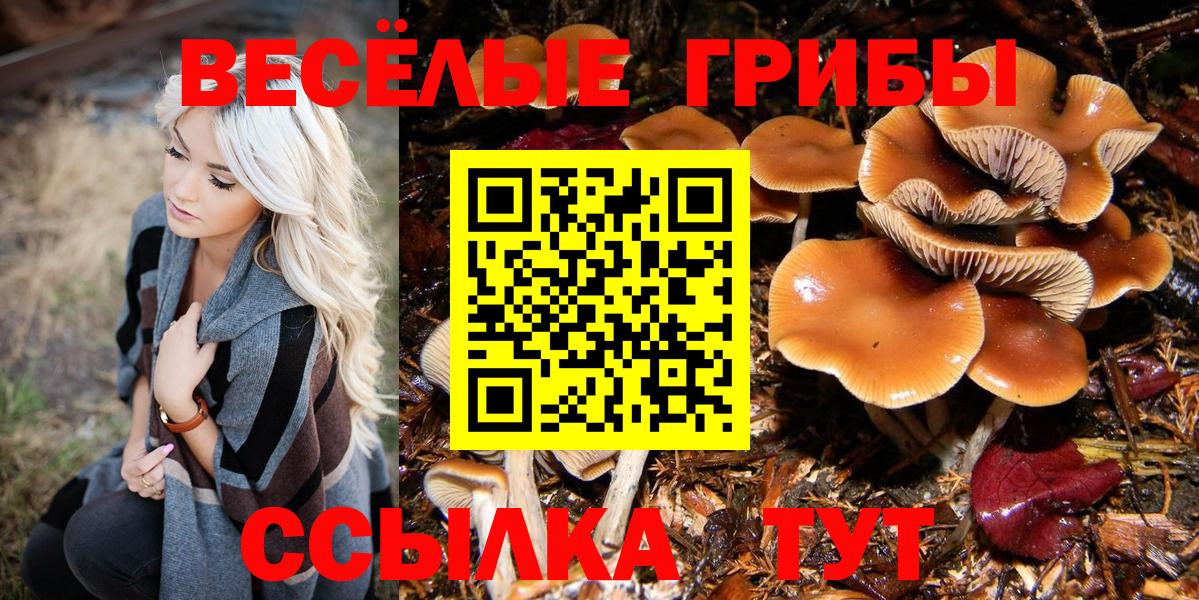 Кизилюрт  Псилоцибиновые грибы MAGIC MUSHROOMS  Псилоцибиновые грибы мицелий  Вход с VPN 